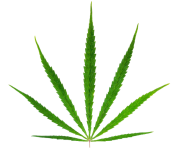 Green marijuana png